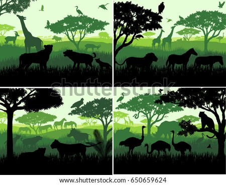 set of Vector illustrations of african savannah safari landscape with wildlife animals silhouettes in sunset design templates
