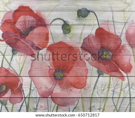 Poppies painted on white boards