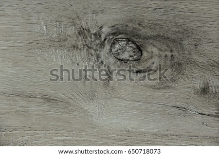 oak tree texture 