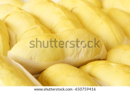 Close up durian flesh yellow gold on shop's display. Bright yellow tropical fruit. Yellow banner background from tropics Royalty-Free Stock Photo #650759416