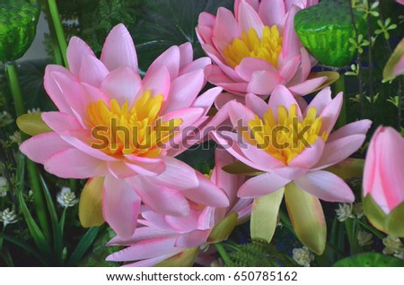Flower Arrangement Lotus for Decorative work background of flowers