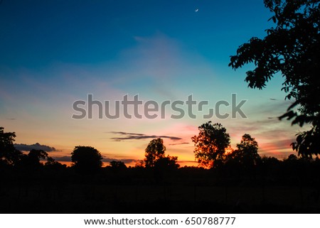  blue sky at sunset,Black tree in shadow at foreground