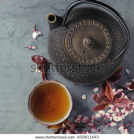 Black iron teapot and traditional ceramic cup of tea with blossom pink flowers cherry branch over gray blue metal texture background. Top view with space, Asian style. Square image