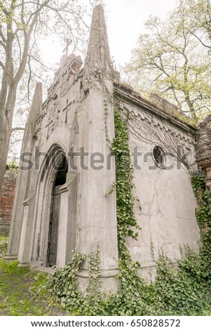 old gothic tomb overgrown with ivy