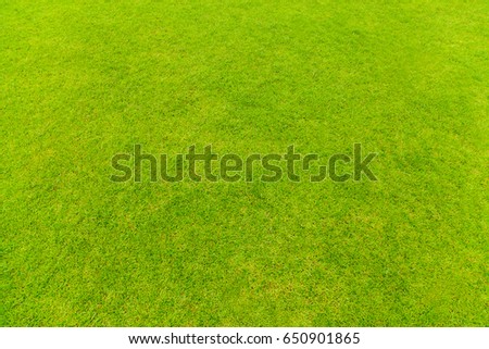 Top view of Natural green grass texture, Aerial view of park