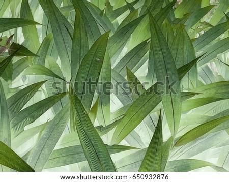 seamless grass texture pattern background