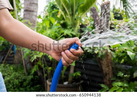 Watering a tree Royalty-Free Stock Photo #650944138