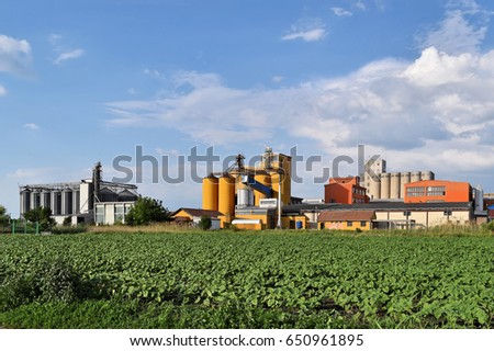 Three silos and young sunflower field in springtime