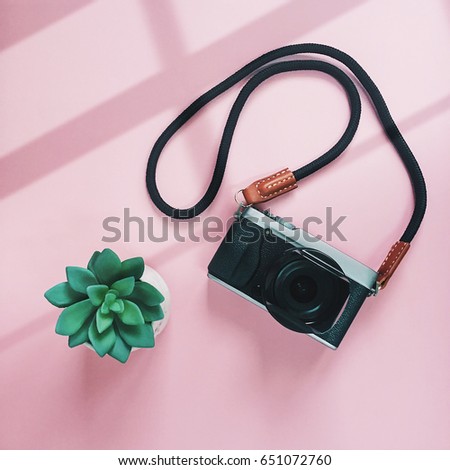 Creative flat lay style of camera and green plant on pink background with window light, minimal style