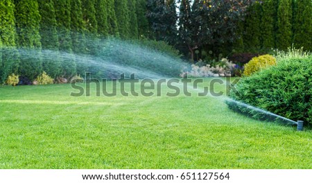 Irrigation of the green grass with sprinkler system. Royalty-Free Stock Photo #651127564