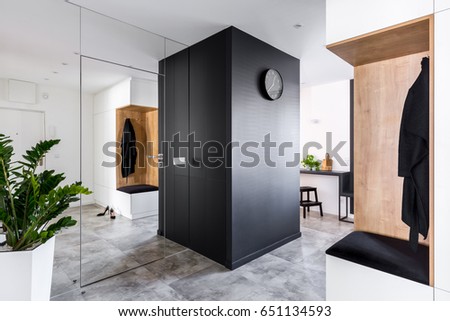 Anteroom with modern mirrored wall and big decorative plant Royalty-Free Stock Photo #651134593