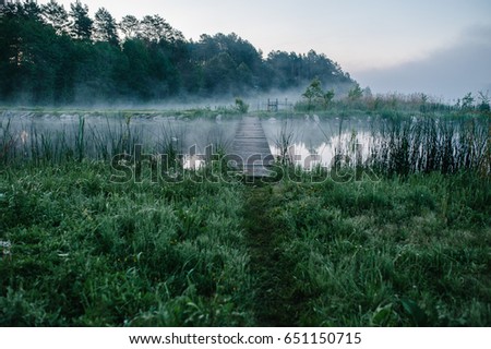Fog, grass, trees against the backdrop of lakes and nature. Fishing background. Carp fishing. Misty morning. nature. Wild areas. bridge over the river.