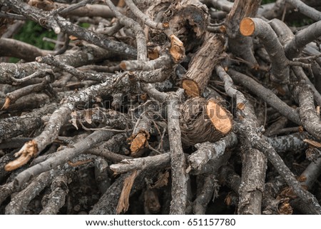 Pile of tree branches composition