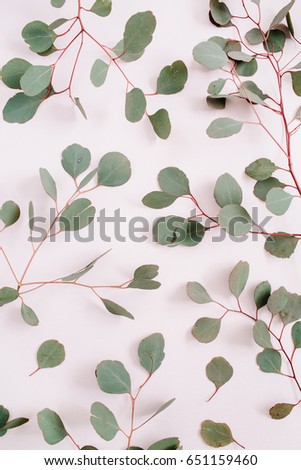Beautiful eucalyptus branches pattern on pale pastel pink background. Flat lay, top view. Lifestyle composition.