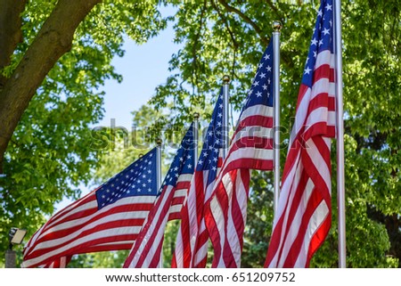 Group of American flags blowing in the wind outside at park on sunny day with trees in background