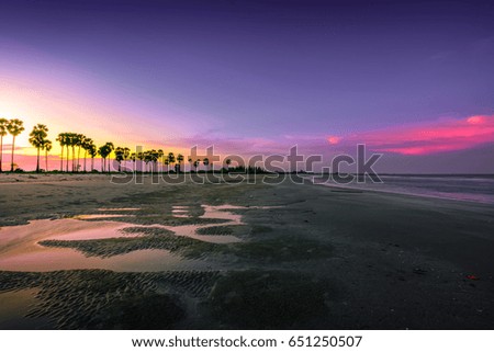 Beautiful sunset on the beach. Portrait of beautiful beaches and palm.