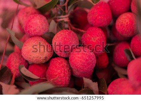 Fresh litchi fruit