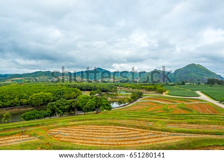 green tea farm and empty dirt area in the very large field with cloudy blue sky after big heavy rain storm and mountain far away as background in chaing rai, north of thailand 