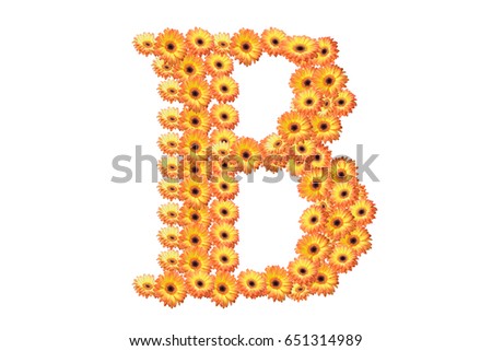 Letter B of orange flowers isolated on white background, font for your design, sample text / symbol / alphabet