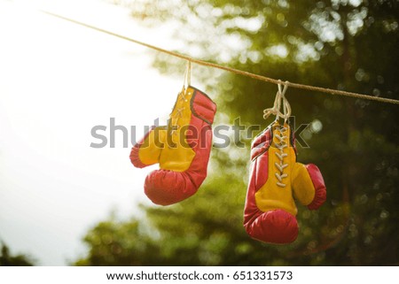 boxing gloves hanging on beautiful background