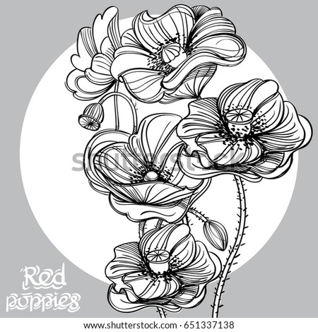 Contour image of poppy flowers. Floral design element vector illustration for banners, posters, greeting cards, coloring books and other items.
