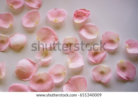 
rose petals.