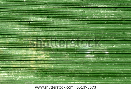 Grungy weathered green color wood wall. Abstract background and texture for design