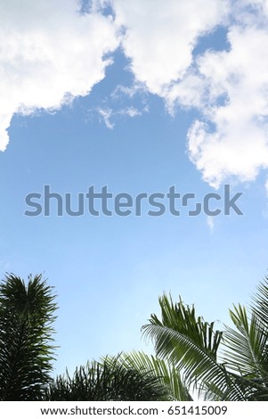Blue Sky And Coconut palm