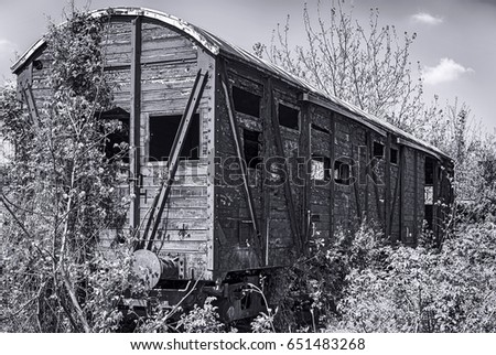 Old wooden railway wagon derelict captured by vegetation, black and white photography