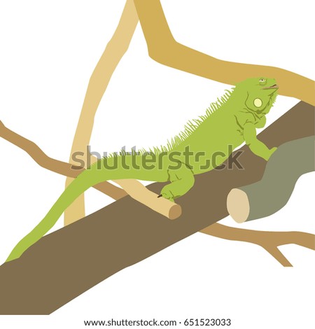 Iguana on branches. Vector illustration.