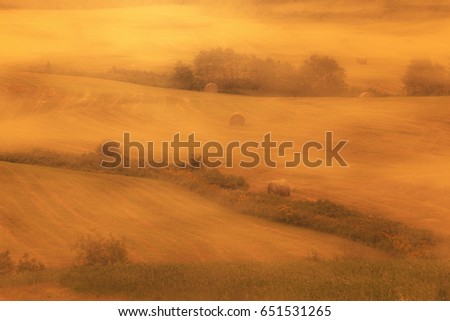 Gold foggy dreamy morning in hay field with stacks