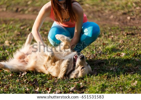 Woman stroking belly of labrador Royalty-Free Stock Photo #651531583