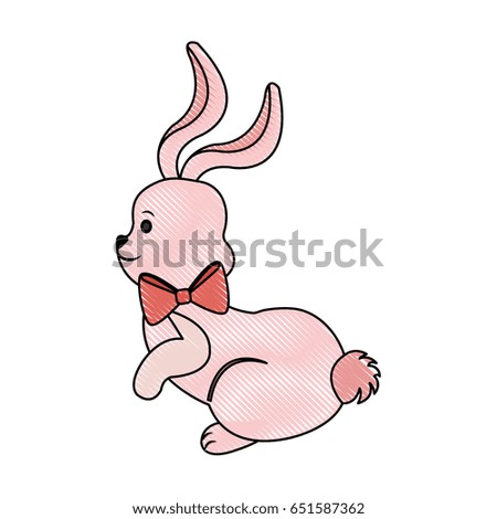 Cute easter bunny cartoon