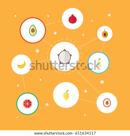 Flat Mango, Alligator Pear, Litchi And Other Vector Elements. Set Of  Flat Symbols Also Includes Pitaya, Lychee, Apricot Objects.