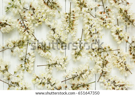 Background of a white flowering acacia.