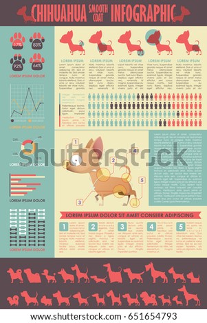Dog infographic. Vector collection.