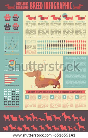 Dog infographic. Vector collection.