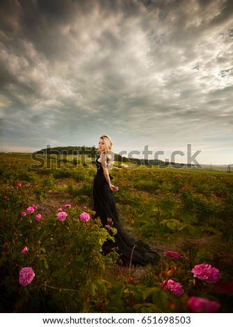 Blonde in a black dress in a field of roses.glamorous photo