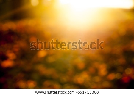  part of a yellow leaf-dripping maple leaf on the other fallen leaves. Autumn season and sunset. The photo is out of focus, defocused