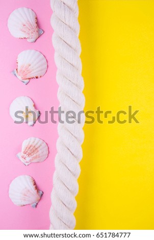 Sea rope and scallop shells on colored yellow and pink backgrounds with negative space. Minimalistic colorful summer background. Top view. Flat lay in marine style. 