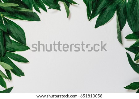 Green leaves border. Leaves of peonies. Frame of green leaves. White wooden background.
