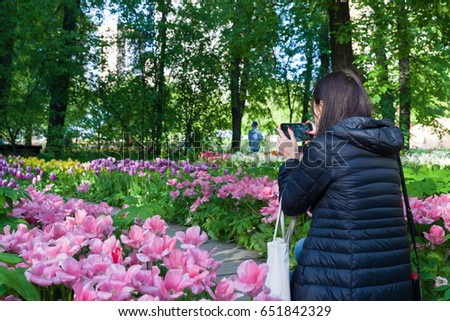 A girl is shooting the picture of beautiful pink tulips in the park