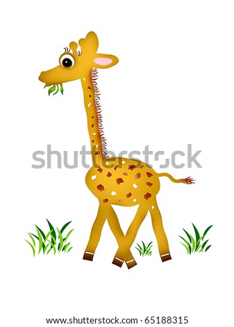 Gracy the Giraffe