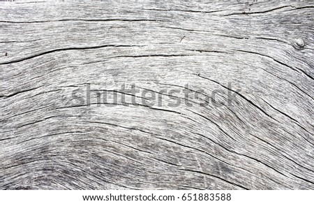 Natural wood texture with curves photo. Gray timber board with weathered crack lines. Seawood background for shabby chic design. Grey wooden floor image. Aged tree surface close-up backdrop template Royalty-Free Stock Photo #651883588