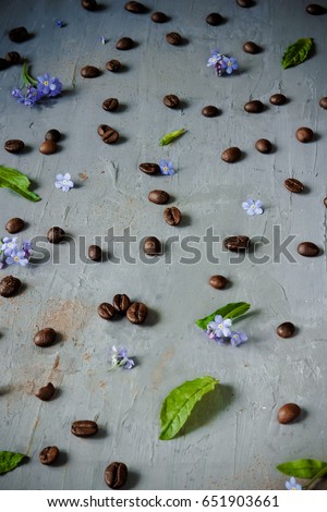 Coffee beans, mint leaves, flowers of forget-me-nots on a gray concrete background.