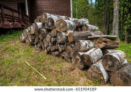 A pile of firewood on the grass. A traditional scene from rural village life. In the background there is a coniferous forest. Spring landscape.