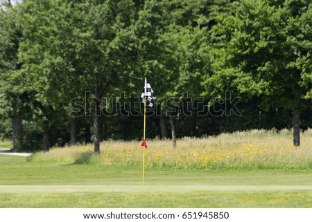 on a very sunny day in may in south germany you see golf lawn green and court with flag and players and sand areas and ways around golfplace