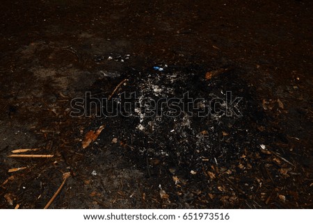 Black coal is in the dark forest
