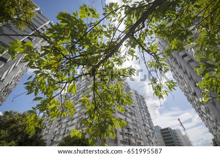 tree and building