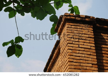 Red brick wall with tree branch and sky